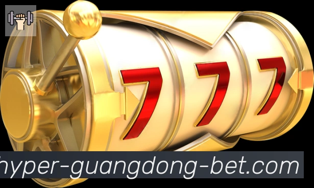 奖项证书