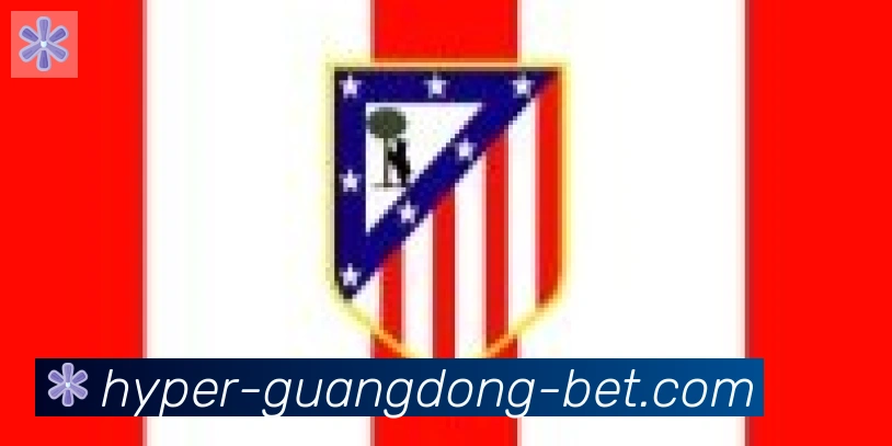 广东体彩合作伙伴